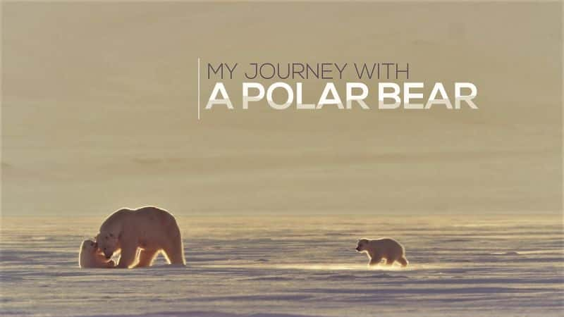 ¼Ƭ뱱ܵó/My Journey with a Polar Bear-Ļ