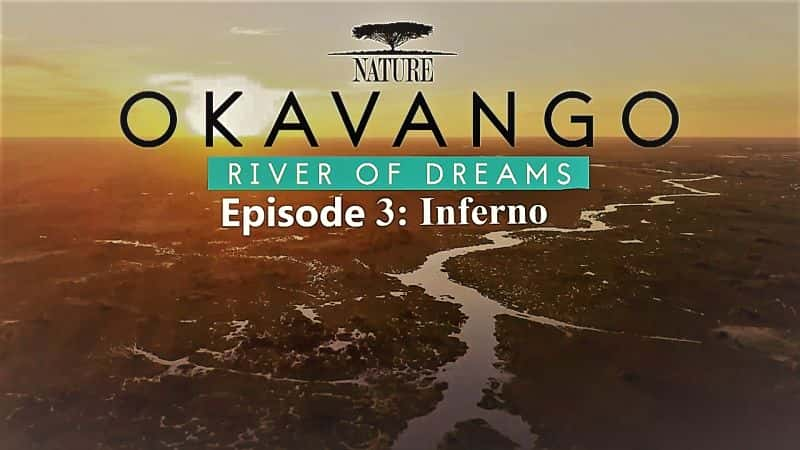 ¼ƬȻϵ386֣¿꣺֮ӣ3/Nature Series 38 Part 6: Okavango: River of Dreams : Episode 3 Inferno-Ļ