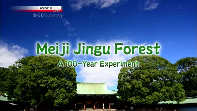 ¼Ƭɭ֣ʵ/Meiji Jingu Forest: A 100-Year Experiment-Ļ