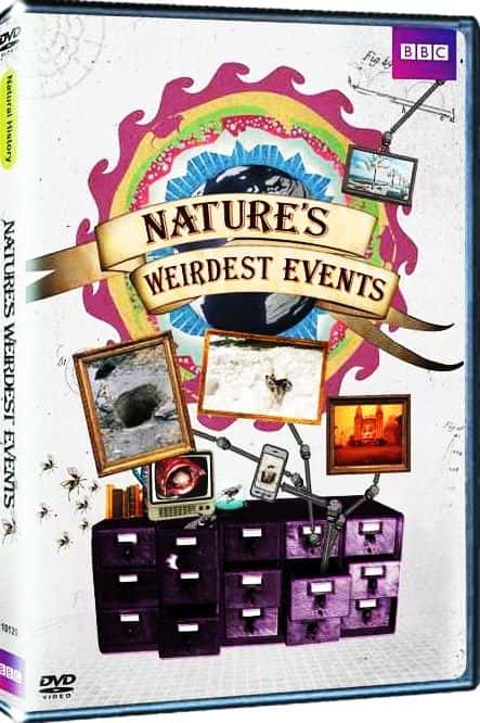 ¼ƬȻ¼ϵ3/Natures Weirdest Events: Series 3-Ļ