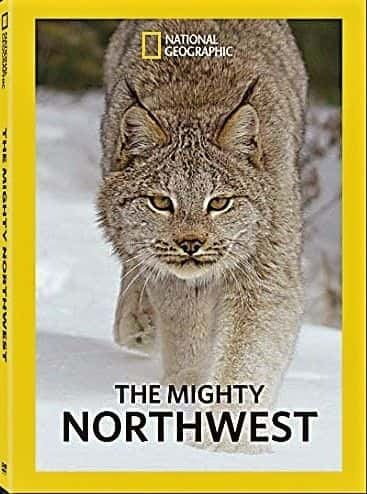 ¼Ƭǿϵ1/The Mighty Northwest: Series 1-Ļ