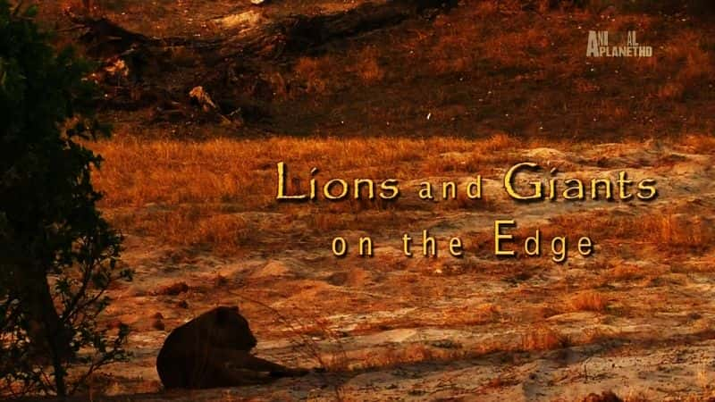 ¼ƬʨӺ;/Lions and Giants-Ļ