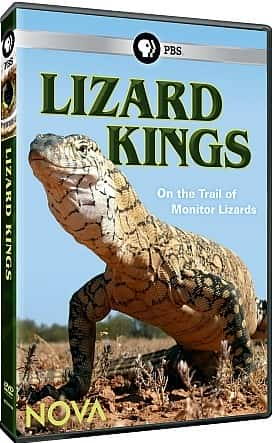 ¼Ƭ֮ - ׷پ/Lizard Kings - On the Trail of Monitor Lizards-Ļ