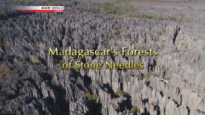 ¼Ƭ˹ӵʯɭ/Madagascar's Forests of Stone Needles-Ļ