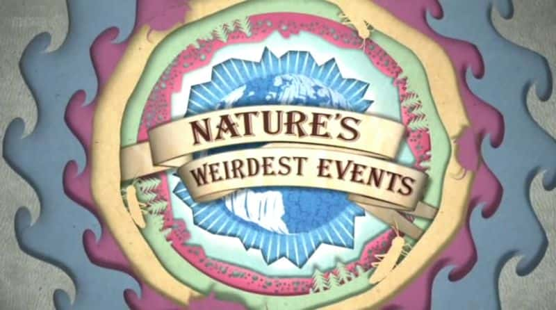 ¼ƬȻ¼/Nature's Weirdest Events-Ļ