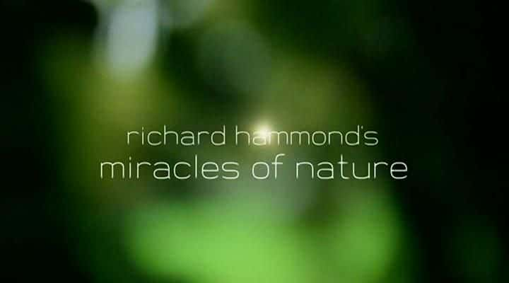 ¼ƬȻ漣/Miracles of Nature-Ļ