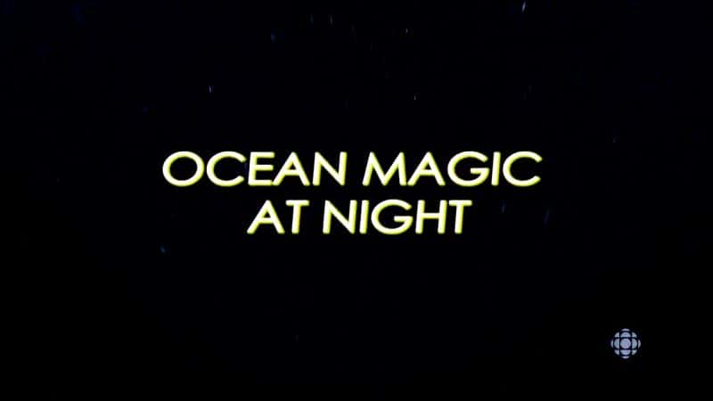 ¼Ƭҹĺħ/Ocean Magic at Night-Ļ