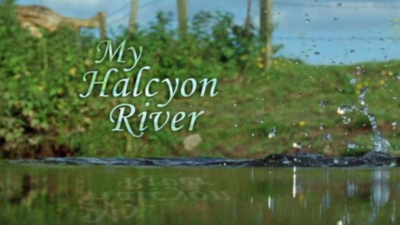 ¼Ƭҵ/My Halcyon River-Ļ