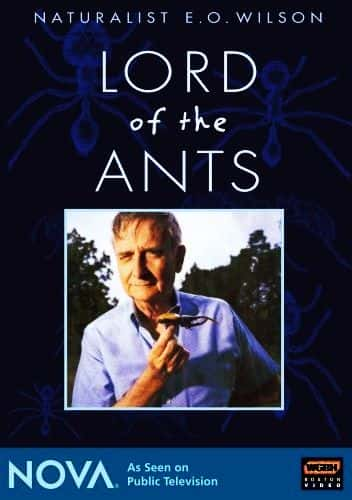 ¼Ƭ֮/Lord of the Ants-Ļ