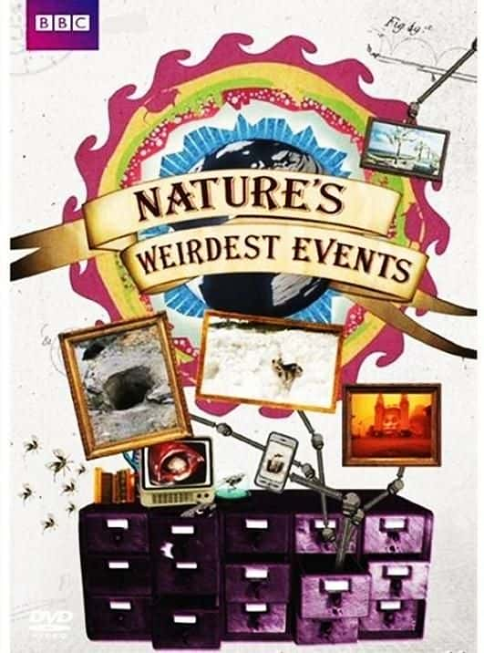 ¼ƬȻ¼4/Nature's Weirdest Events Series 4-Ļ