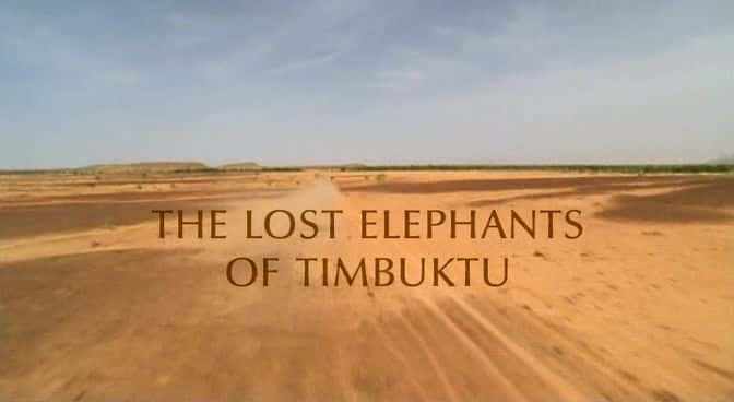 ¼Ƭ͢ͼʧ/The Lost Elephants of Timbuktu-Ļ