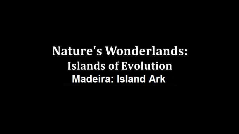 ¼ƬȻ漣-/Nature's Wonderlands: Islands of Evolution - Madeira-Ļ