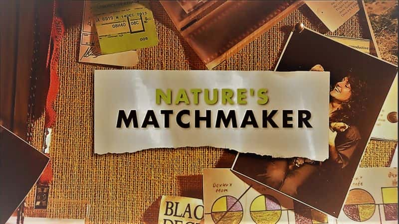 ¼ƬȻĺ/Natures Matchmaker-Ļ