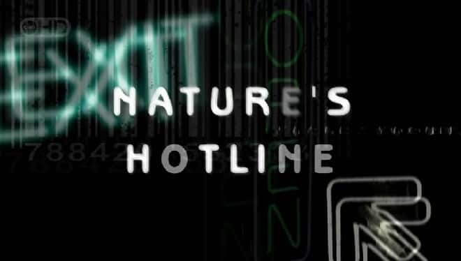 ¼ƬȻ/Natures Hotline-Ļ