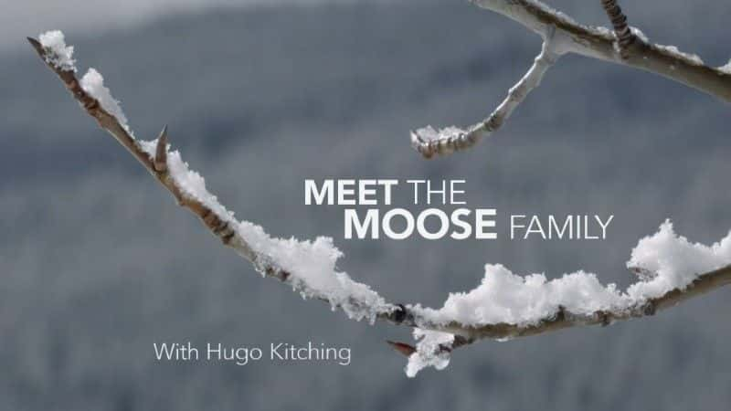 ¼Ƭ¹/Meet the Moose Family-Ļ