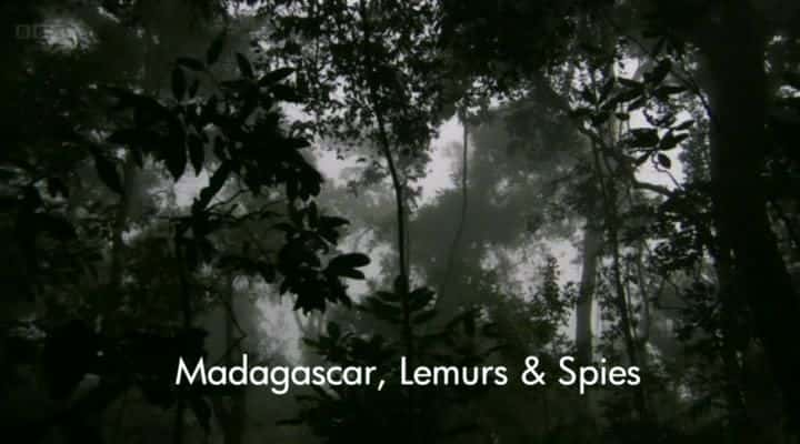 ¼Ƭ˹ӣͼ/Madagascar, Lemurs and Spies-Ļ