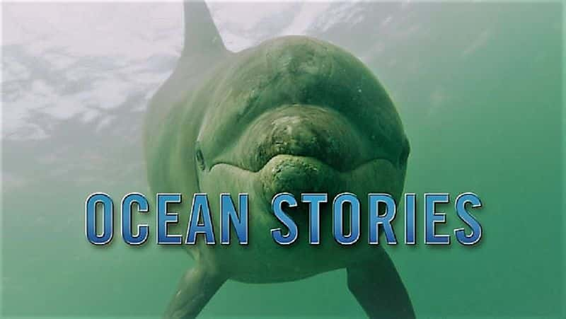 ¼Ƭ£һ/Ocean Stories: Series 1-Ļ