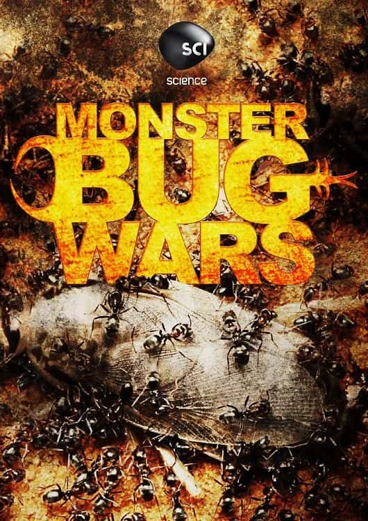 ¼Ƭս/Monster Bug Wars-Ļ