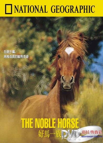 ¼Ƭ߹/The Noble Horse-Ļ