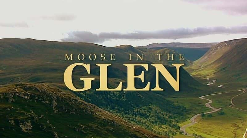 ¼ƬϿе¹/Moose in the Glen-Ļ