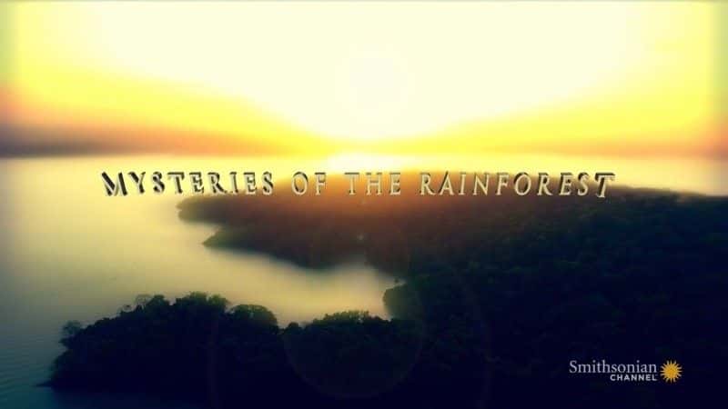 ¼Ƭ֮/Mysteries of the Rainforest-Ļ