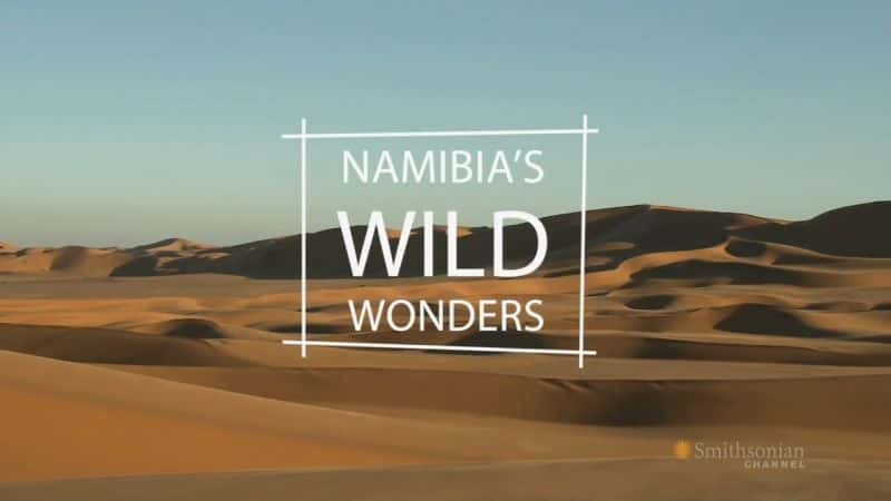 ¼Ƭױǵ֮/Namibias Wild Wonders-Ļ