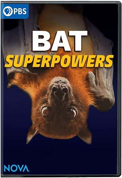 ¼ƬNova/Nova : Bat Superpowers-Ļ