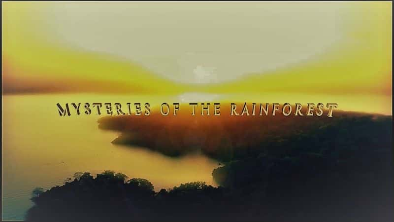 ¼Ƭ֮գ1080/Mysteries of the Rainforest: 1080-Ļ