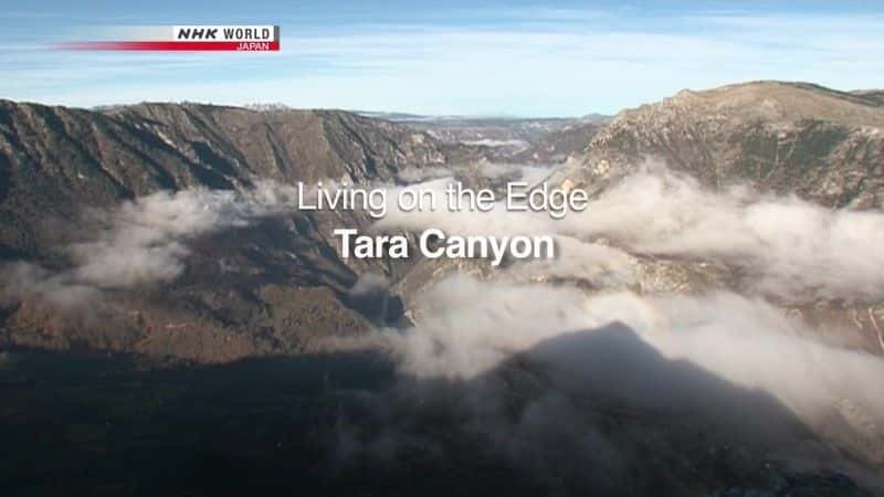 ¼ƬڱԵϿ/Living on the Edge: Tara Canyon-Ļ