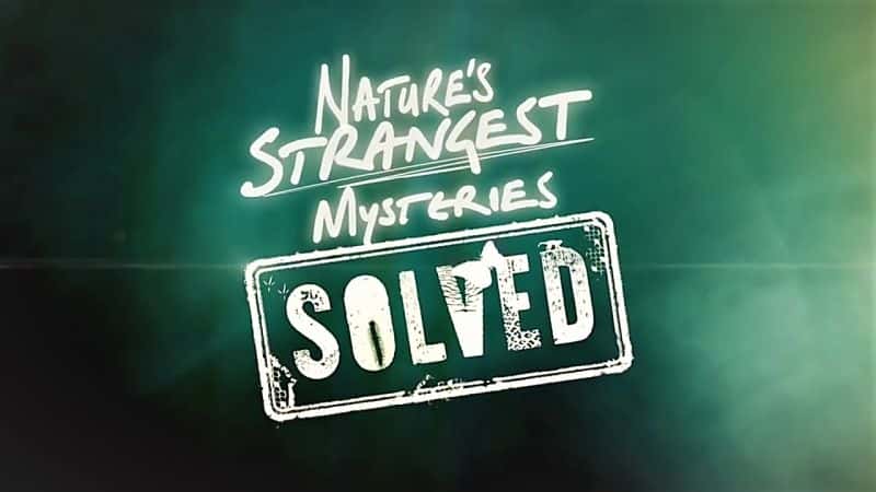 ¼ƬȻֵŽ⿪ϵ123֣Ц/Natures Strangest Mysteries Solved Series 1 Part 23: Giggling Rats-Ļ