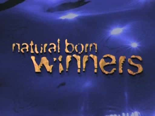 ¼ƬӮ/Natural Born Winners-Ļ