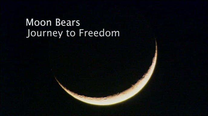 ¼Ƭܣ֮/Moon Bears: Journey to Freedom-Ļ