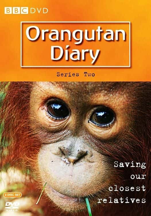 ¼Ƭռǣ2/Orangutan Diary: Series 2-Ļ