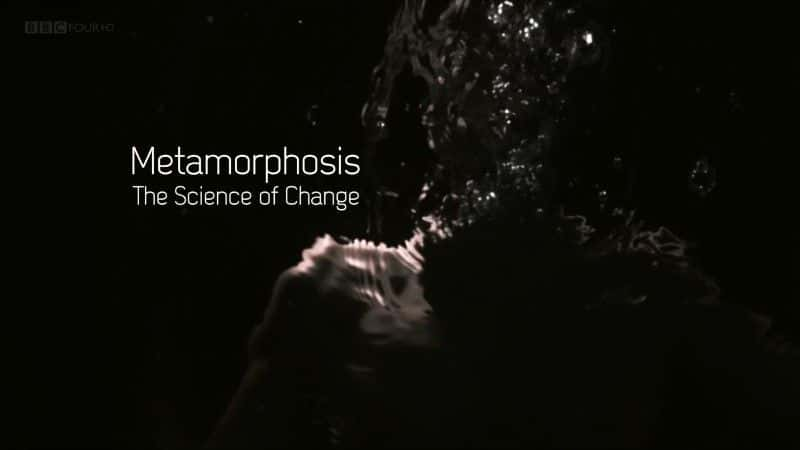 ¼Ƭ̬仯Ŀѧ/Metamorphosis: The Science of Change-Ļ