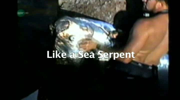 ¼Ƭһ/Like a Sea Serpent-Ļ