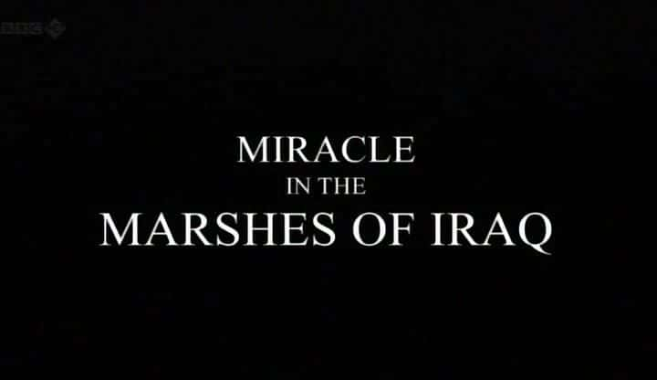 ¼Ƭ漣/Miracle in the Marshes of Iraq-Ļ