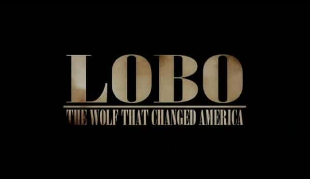 ¼Ƭ岮 - ı/Lobo - The Wolf that Changed America-Ļ