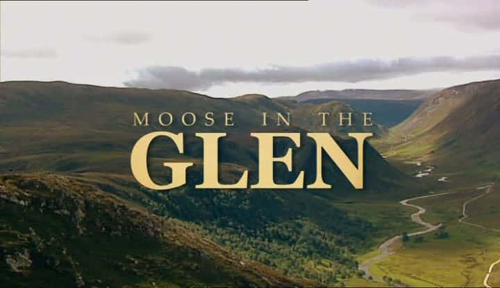 ¼ƬϿе¹/Moose in the Glen-Ļ