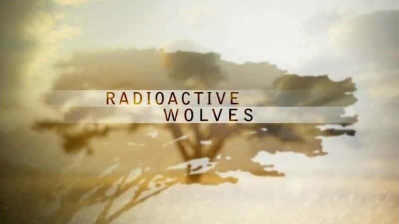 ¼Ƭ/Radioactive Wolves-Ļ