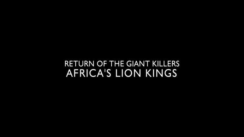 ¼ƬɱֵĻع飺޵ʨ/Return of the Giant Killers: Africa's Lion Kings-Ļ