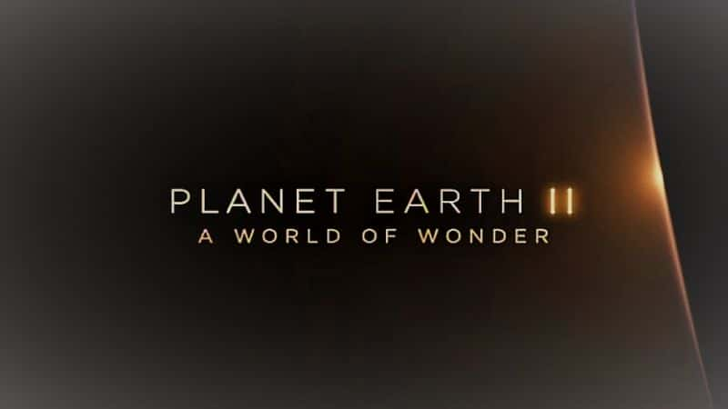 ¼ƬII漣/Planet Earth II: A World of Wonder-Ļ