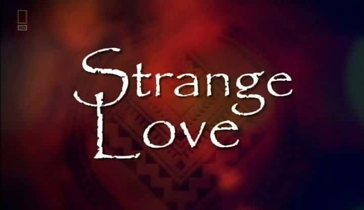 ¼Ƭֵİ/Strange Love-Ļ