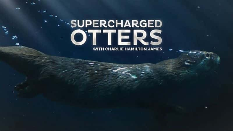 ¼Ƭˮ̡/Supercharged Otters-Ļ