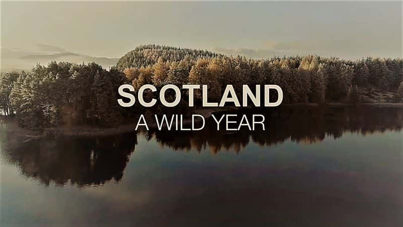 ¼ƬոҰһϵ1/Scotland a Wild Year Series 1-Ļ