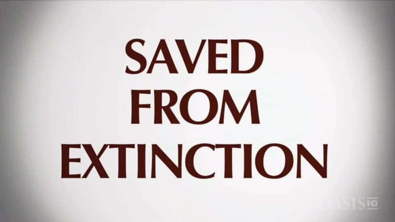 ¼ƬȱΣ/Saved from Extinction-Ļ