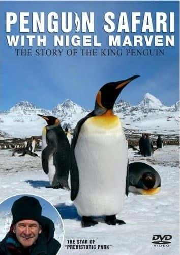 ¼Ƭ̽/Penguin Safari-Ļ