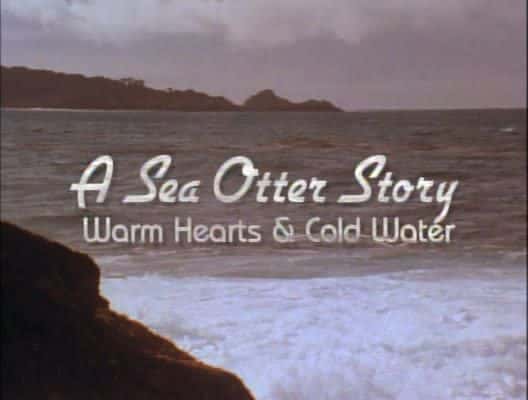 ¼Ƭһ̡Ĺ/A Sea Otter Story-Ļ