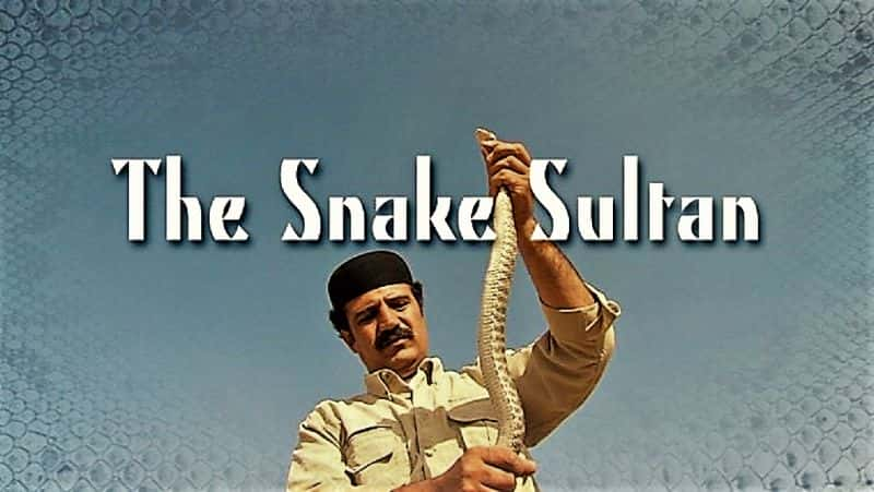 ¼Ƭ֮յ/The Snake Sultan-Ļ