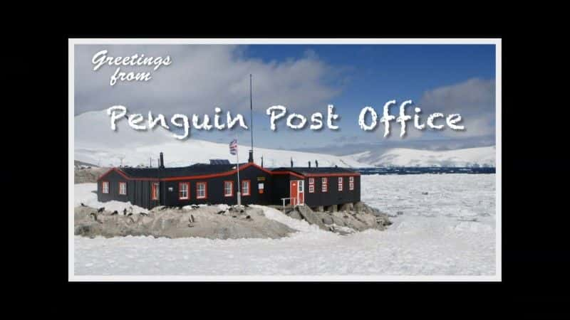 ¼Ƭʾ/Penguin Post Office-Ļ