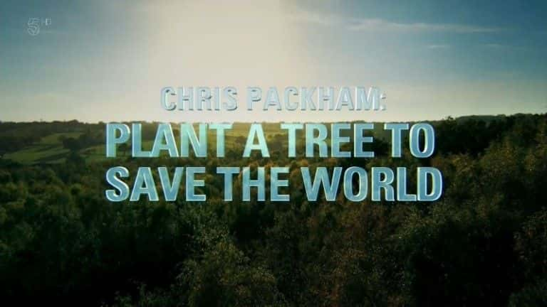 ¼Ƭһ/Plant a Tree to Save the World-Ļ